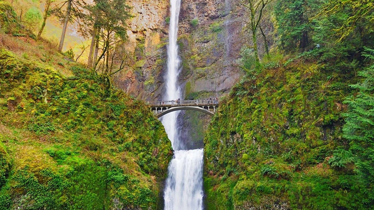 Multnomah Falls: భార్య, ఐదుగురు పిల్లల ముందే దారుణం.. జలపాతం చూసేందుకు వెళ్లి..
