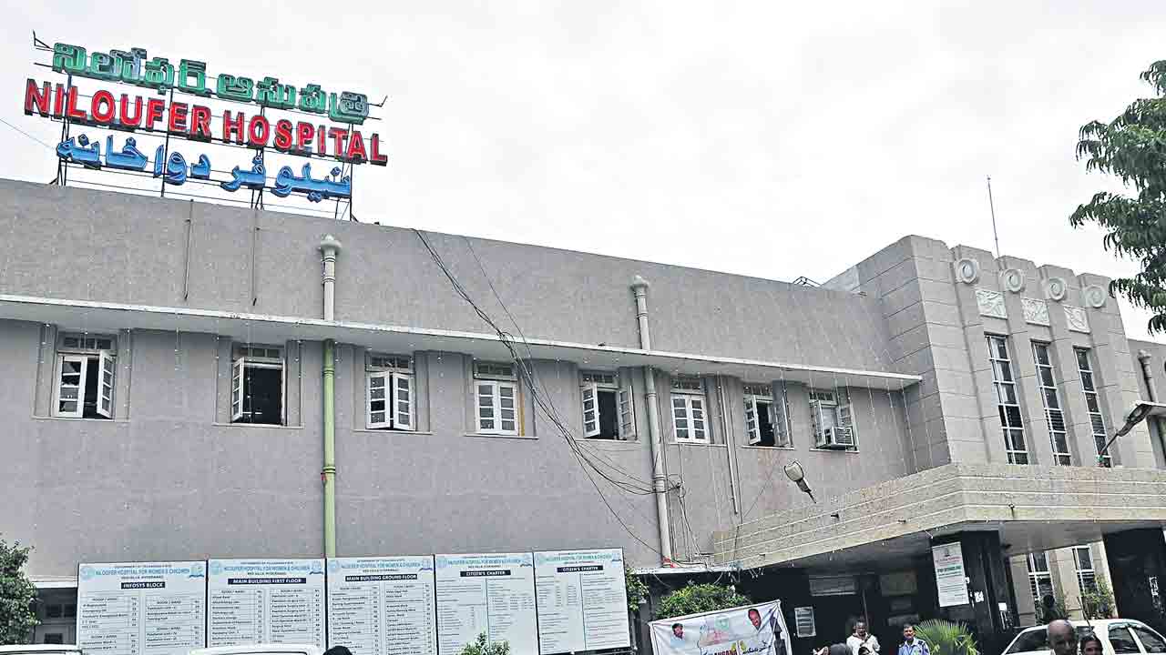 భరోసా లేదన్న కార్పొరేట్‌ బతుకునిచ్చిన నిలోఫర్‌