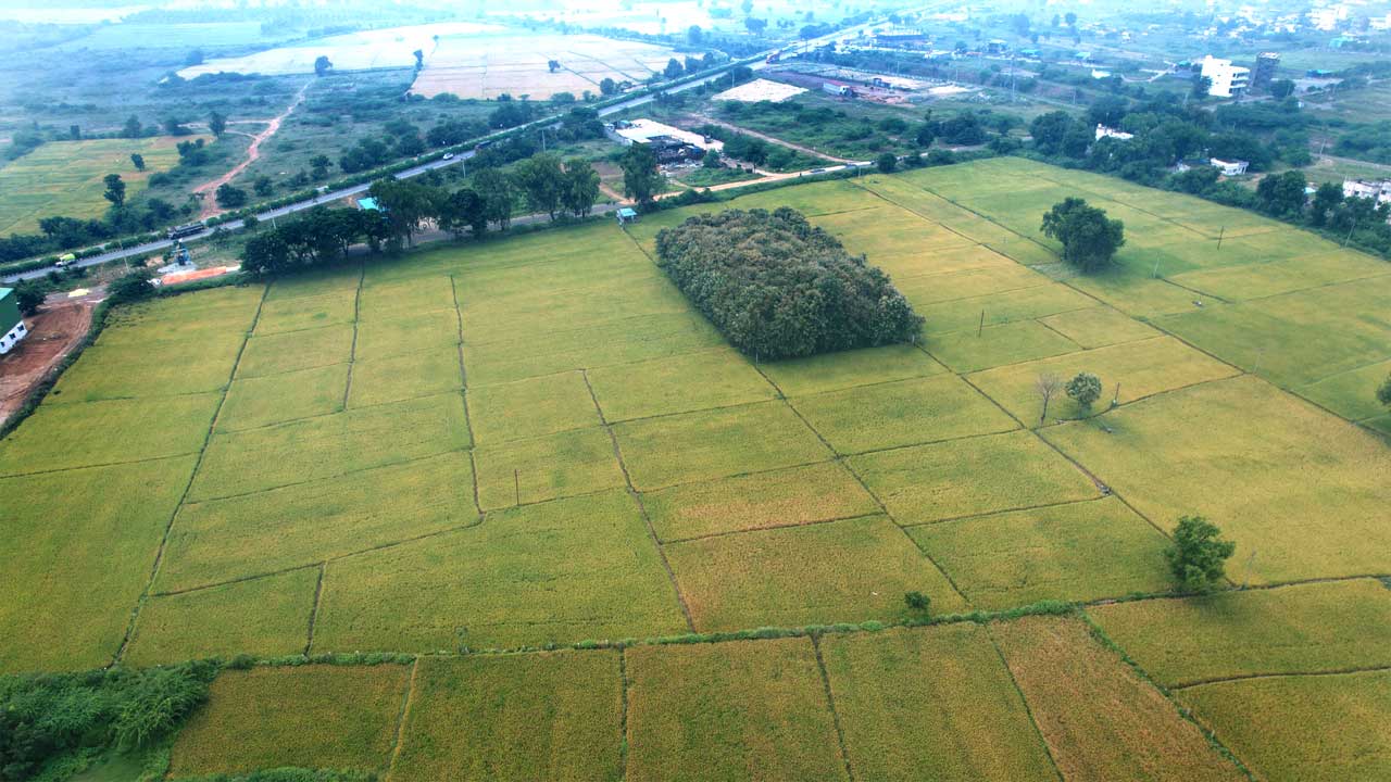 అభివృద్ధిపై దృశ్యరూపం