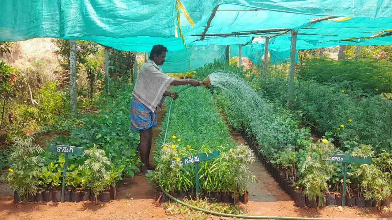 పల్లె ప్రగతితో మారిన రామగిరి రూపురేఖలు