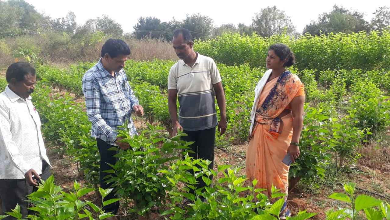 ‘పట్టు’ వైపు అడుగులు