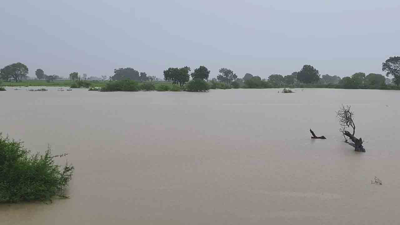 Penu Ganga
