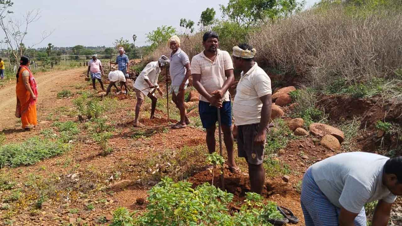 హరిత సంకల్పం.. ముమ్మరంగా తొమ్మిదో విడుత హరితహారం