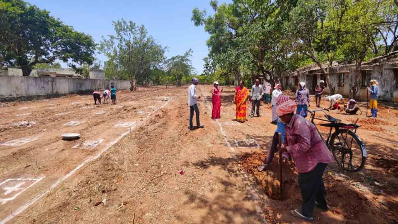 ఇరిగేషన్‌ భూముల్లో ‘దశాబ్ది’ వనాలు