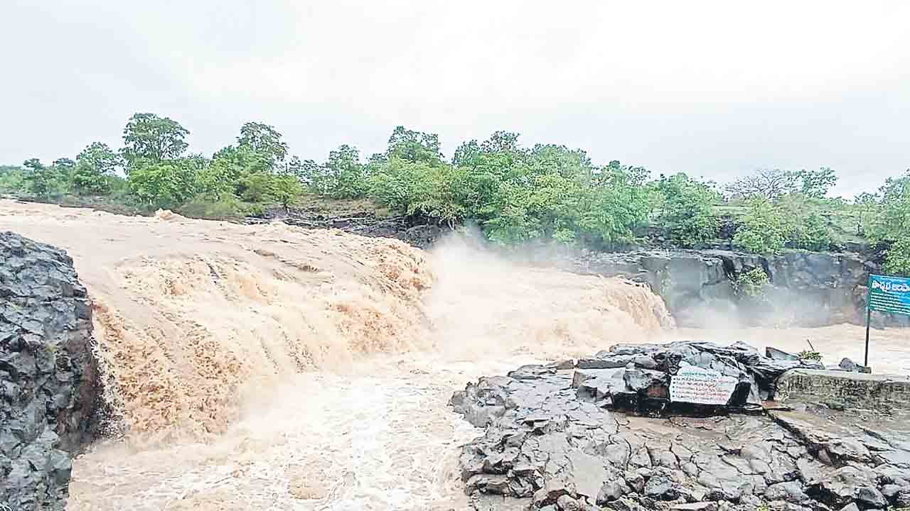 Pochera Water Fall