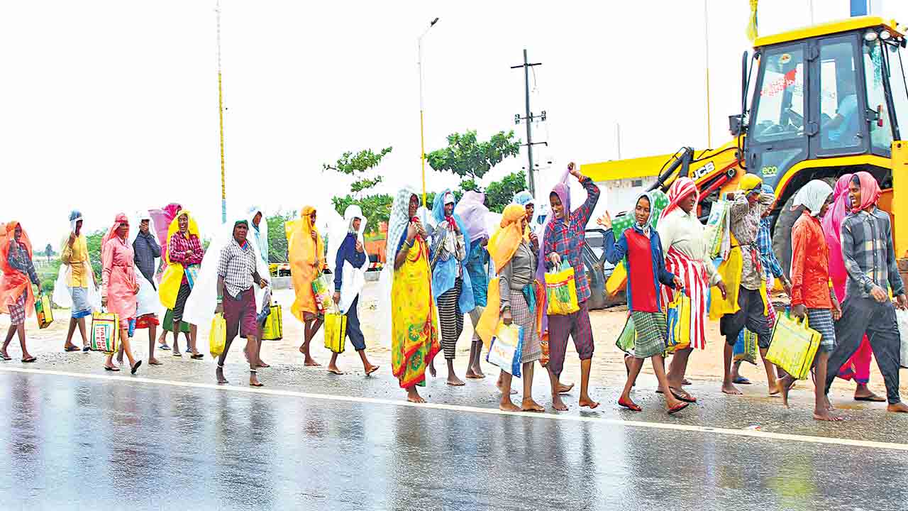 కురిసిన వాన.. మురిసిన రైతన్న