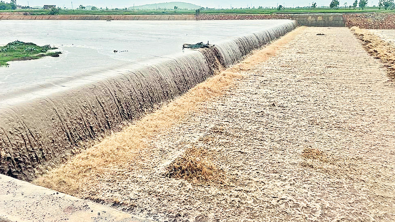 జోరు వాన