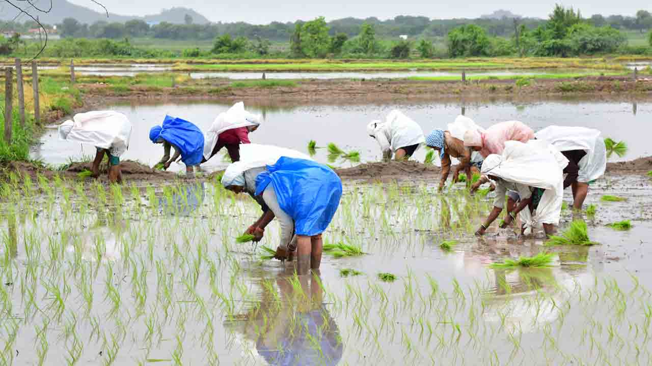Photo story | కురిసిన చినుకు..మురిసిన రైతు