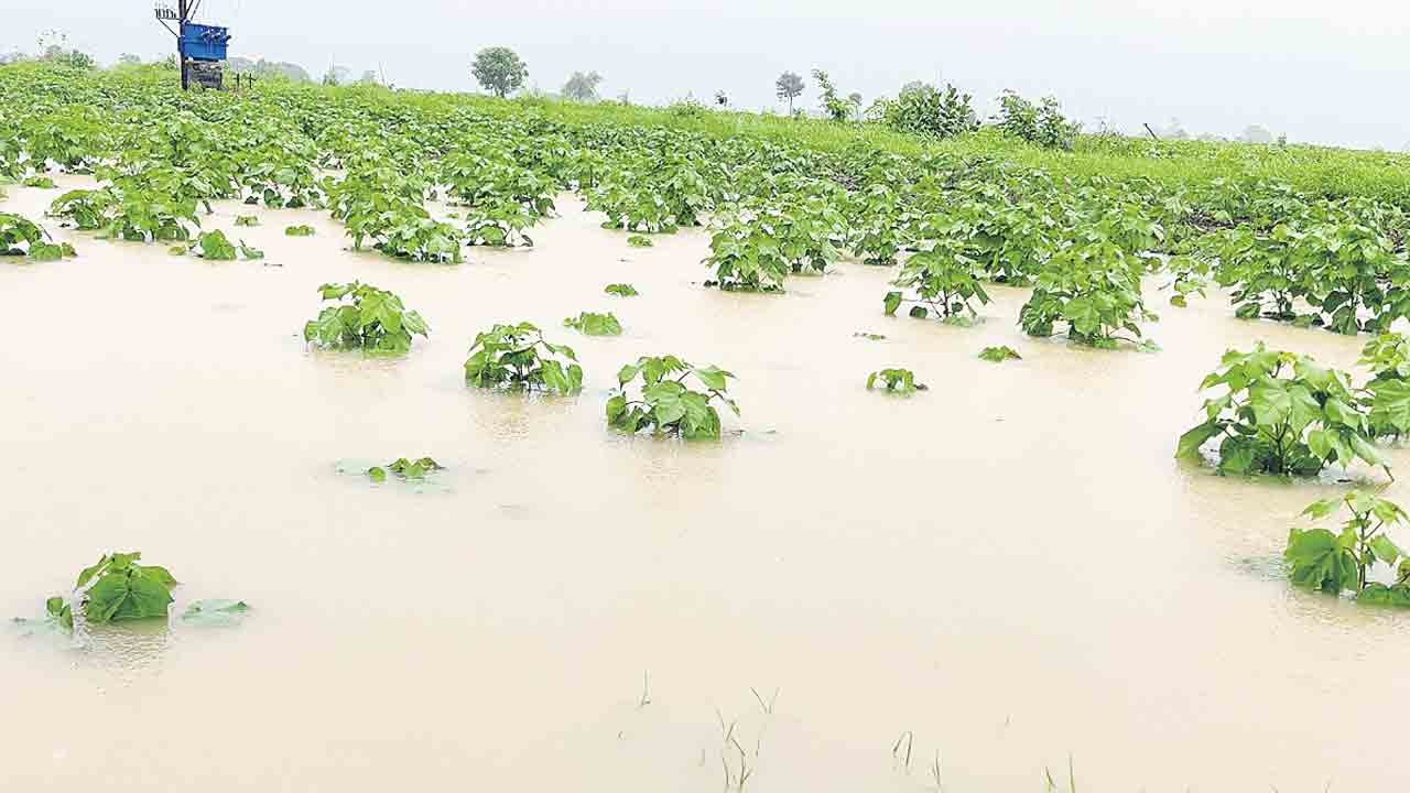 ముసురేసింది