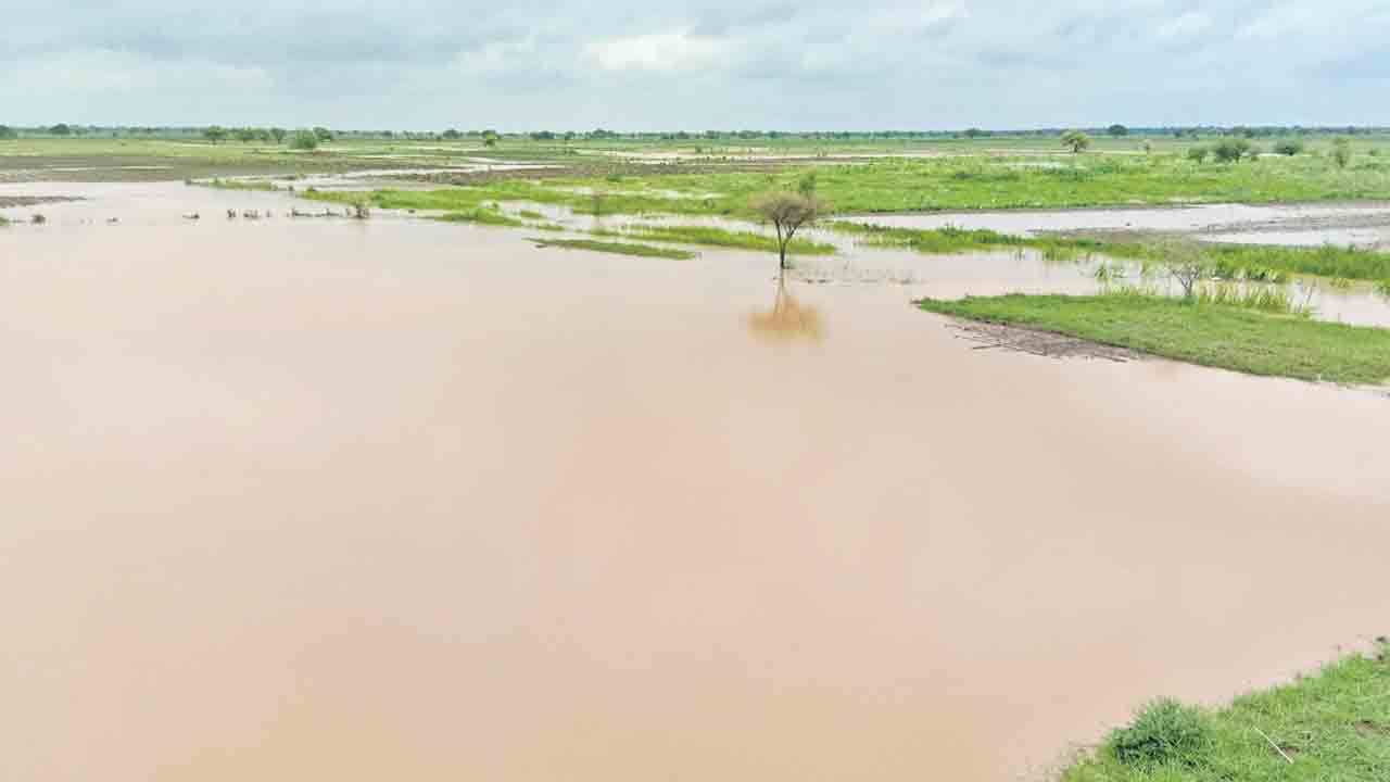 సంగారెడ్డి, మెదక్‌ జిల్లాల్లో దంచికొట్టిన వాన