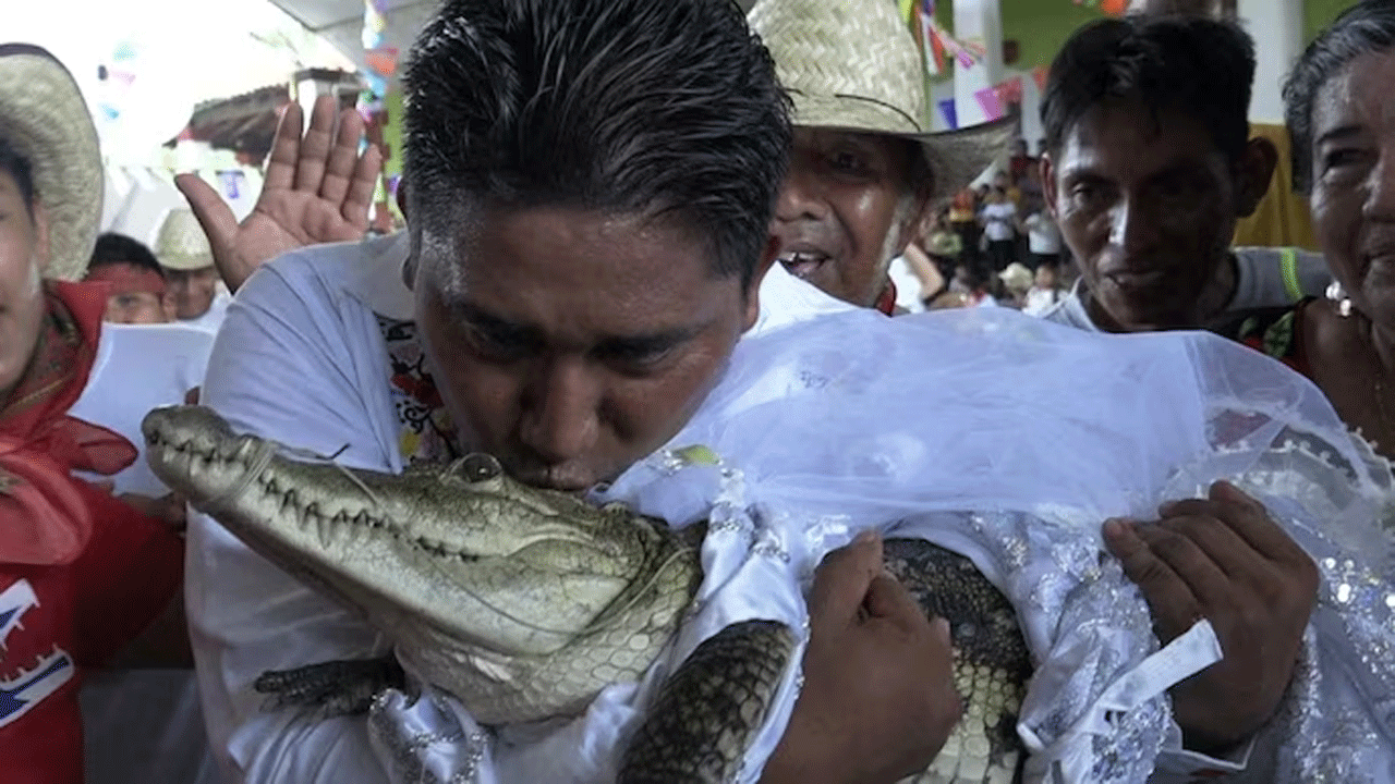 mayor marries crocodile  | మొస‌లితో మేయ‌ర్ పెండ్లి.. కారణమిదే!