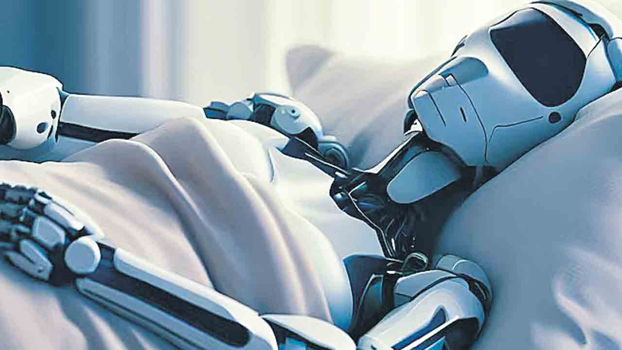 Robots | శృంగారంలో ఇక భాగస్వామితో పనేంటి? బెడ్‌పై దానికి కూడా రోబోలు వచ్చేస్తాయి!