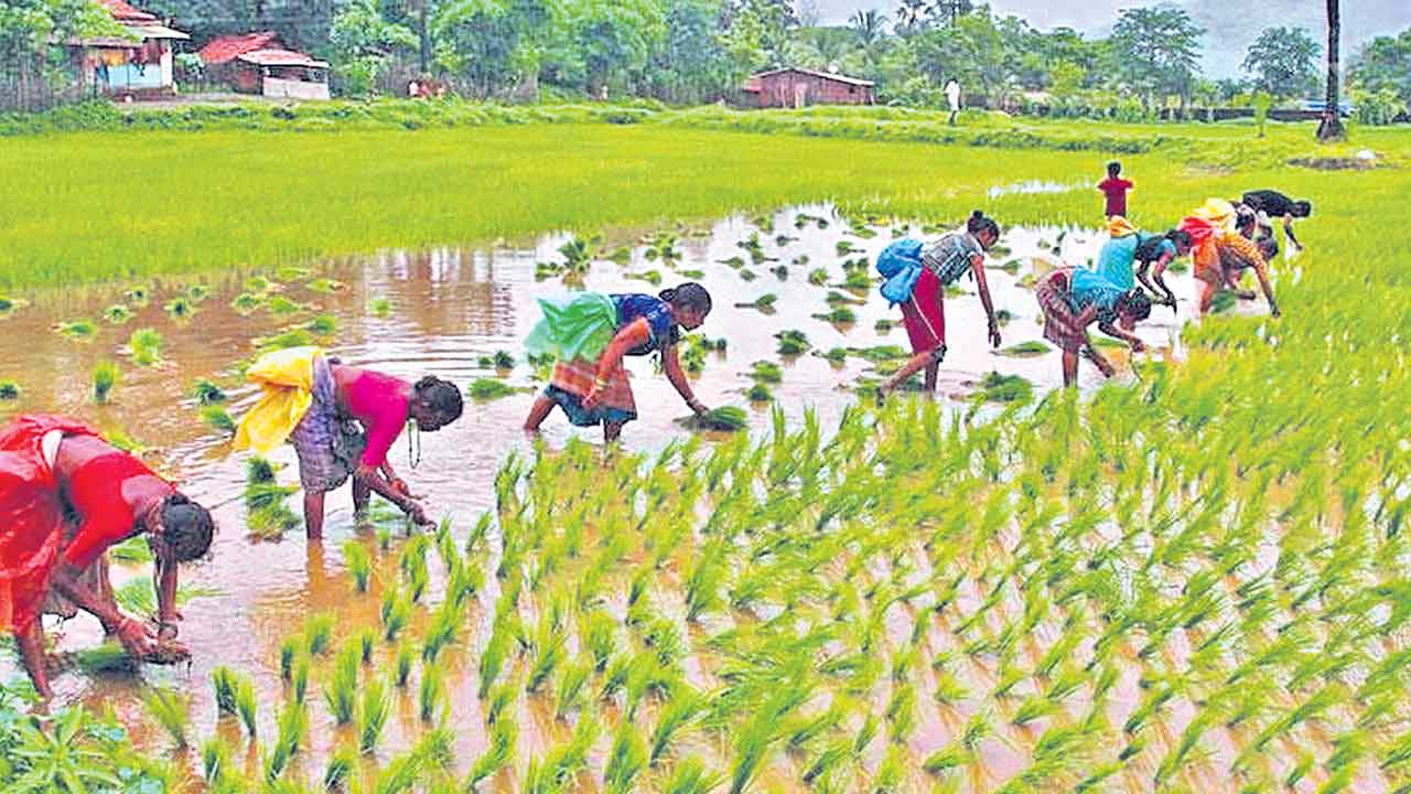 వెతలు ఎరిగిన నేత