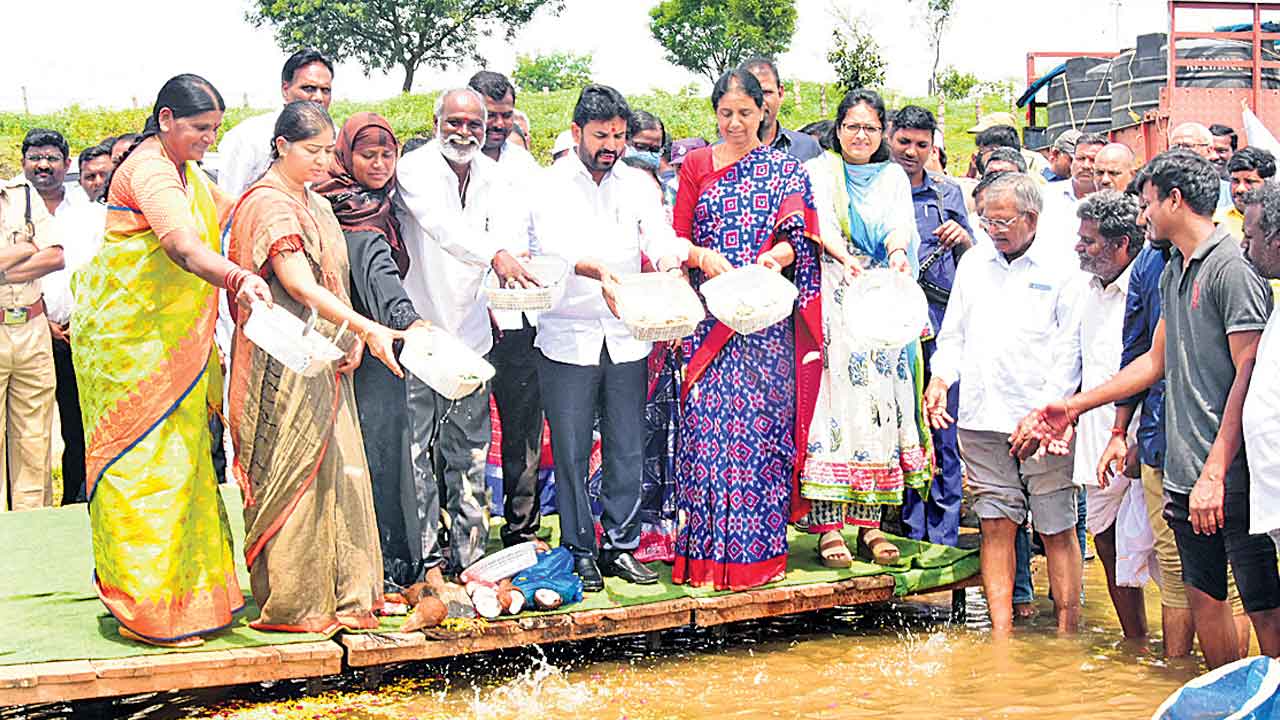 మత్య్స కోటి
