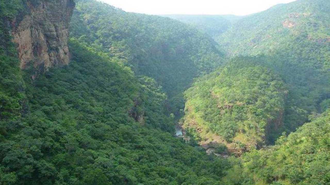 Tiger corridor |  శేషాచలానికి పులుల కారిడార్‌.. నల్లమల నుంచి తరలింపునకు ఏపీ అటవీ శాఖ ఏర్పాట్లు