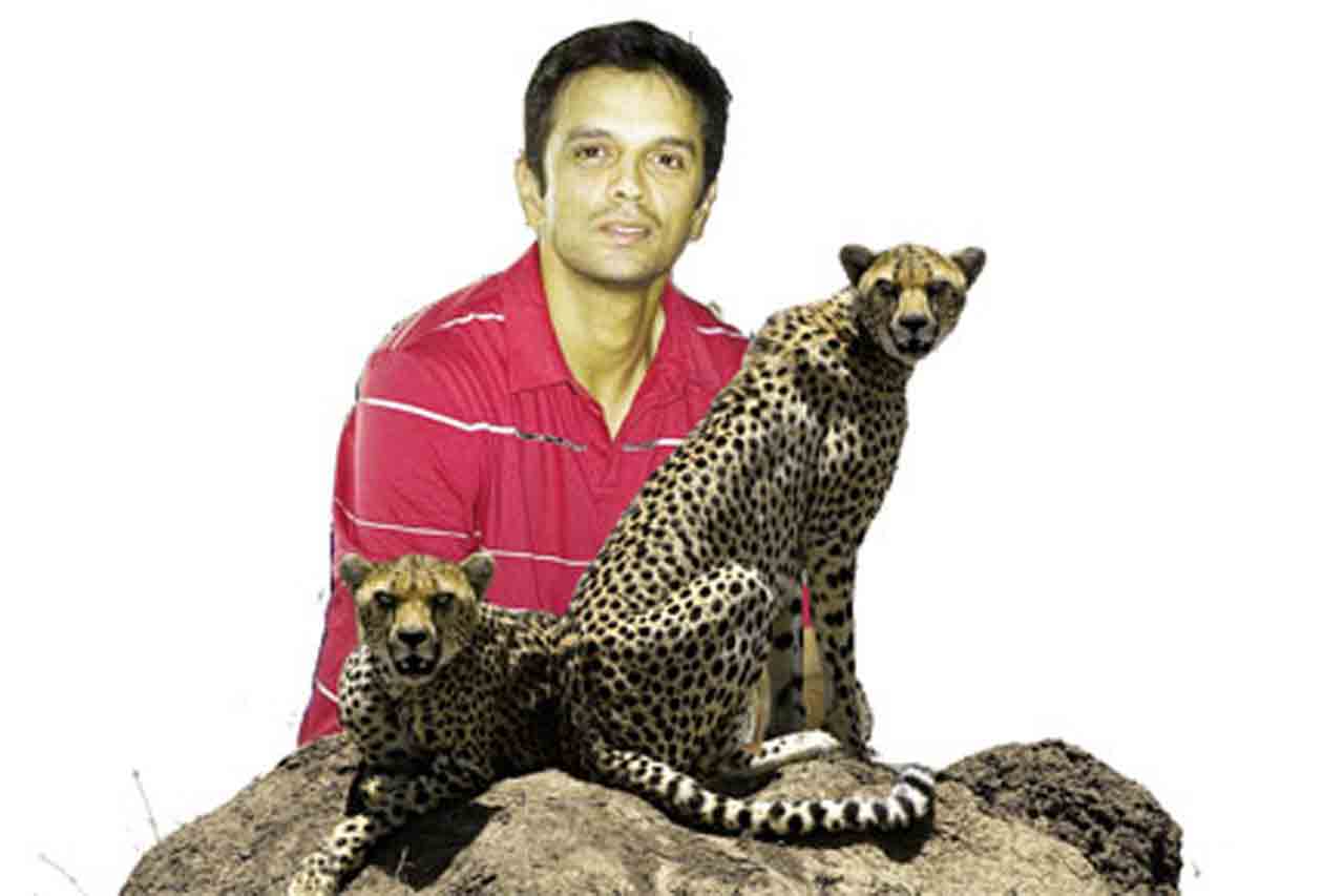 Sw Dravid F