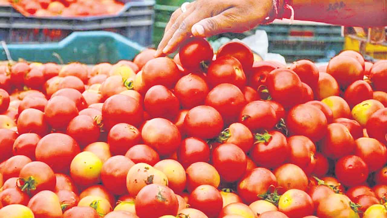 Tomato | టమాటలు అమ్మి నెల రోజుల్లోనే 3 కోట్లు సంపాదించాడు!
