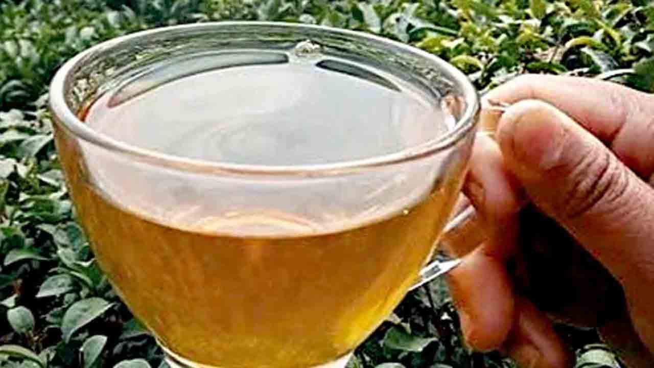 Tea Tales | తేయాకు తోటలకు వెళ్లి మీరూ ఇలా మోసపోయారా?
