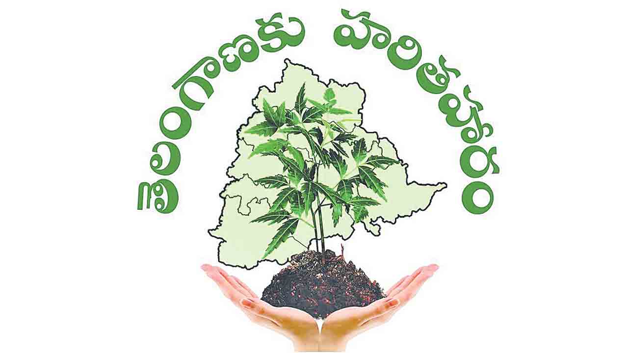 పచ్చదనం పరుచుకునేలా..