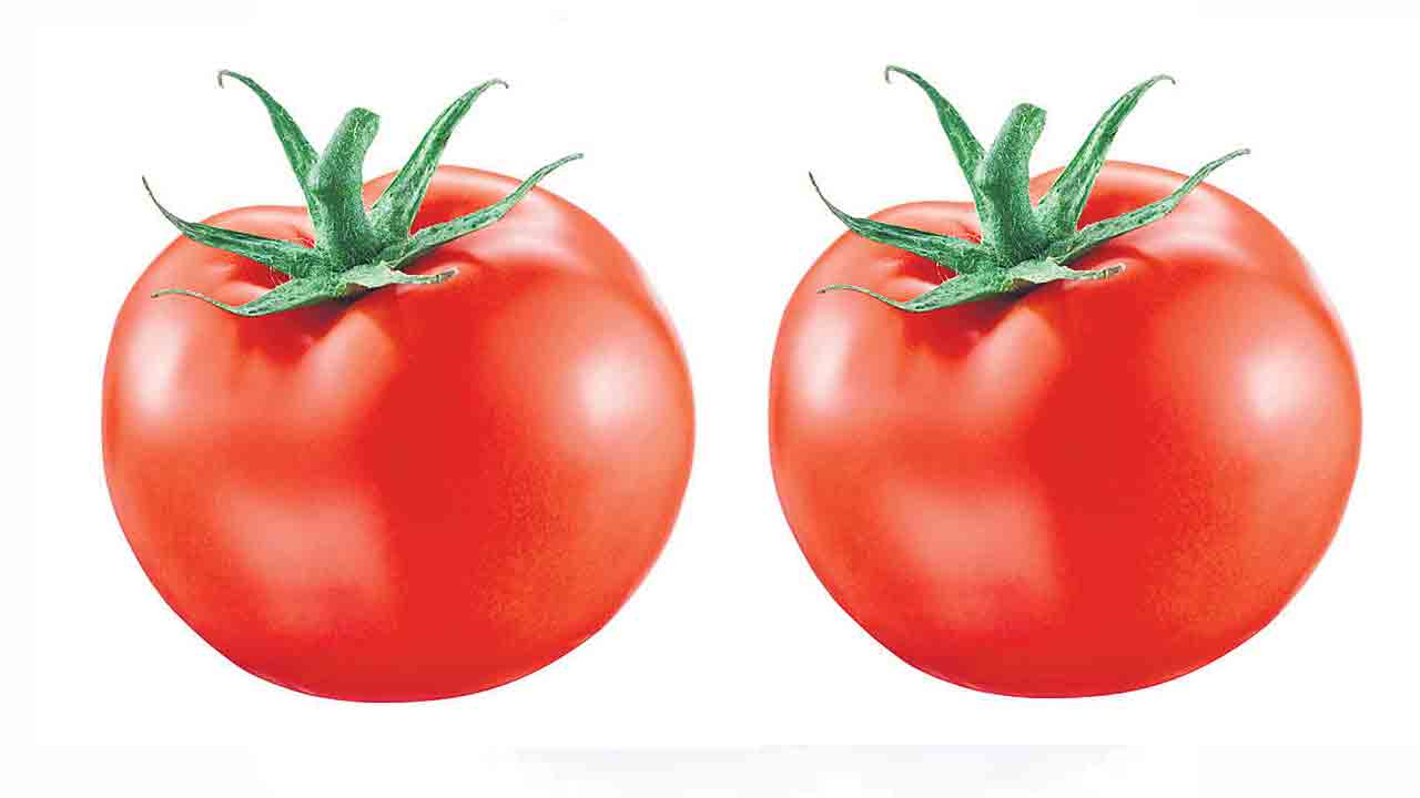 Tomato Price Hike | ధరలు ఆకాశాన్ని తాకుతున్న వేళ.. టమాటాలకు బదులు వంటల్లో వీటిని ట్రై చేయండి