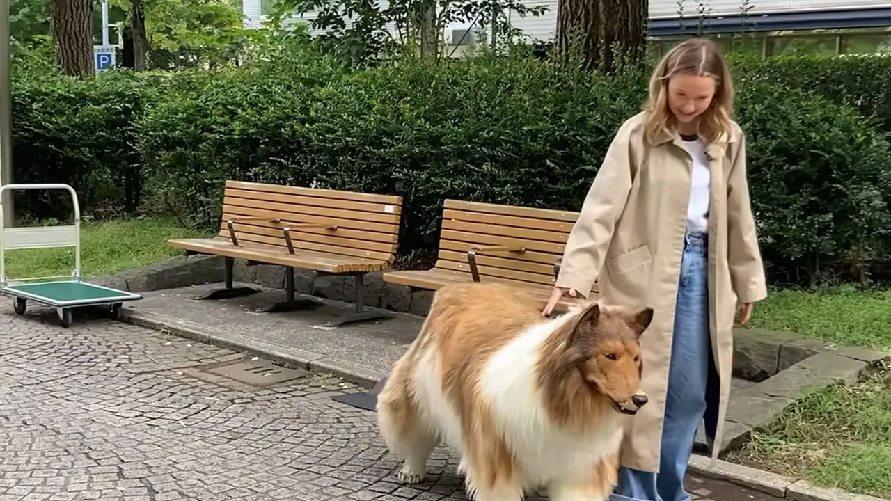 Japan: 12 ల‌క్ష‌లు ఖ‌ర్చు చేసి కుక్క‌లా మారాడు.. ఇలా జ‌నం మ‌ధ్య తిరిగాడు.. వీడియో