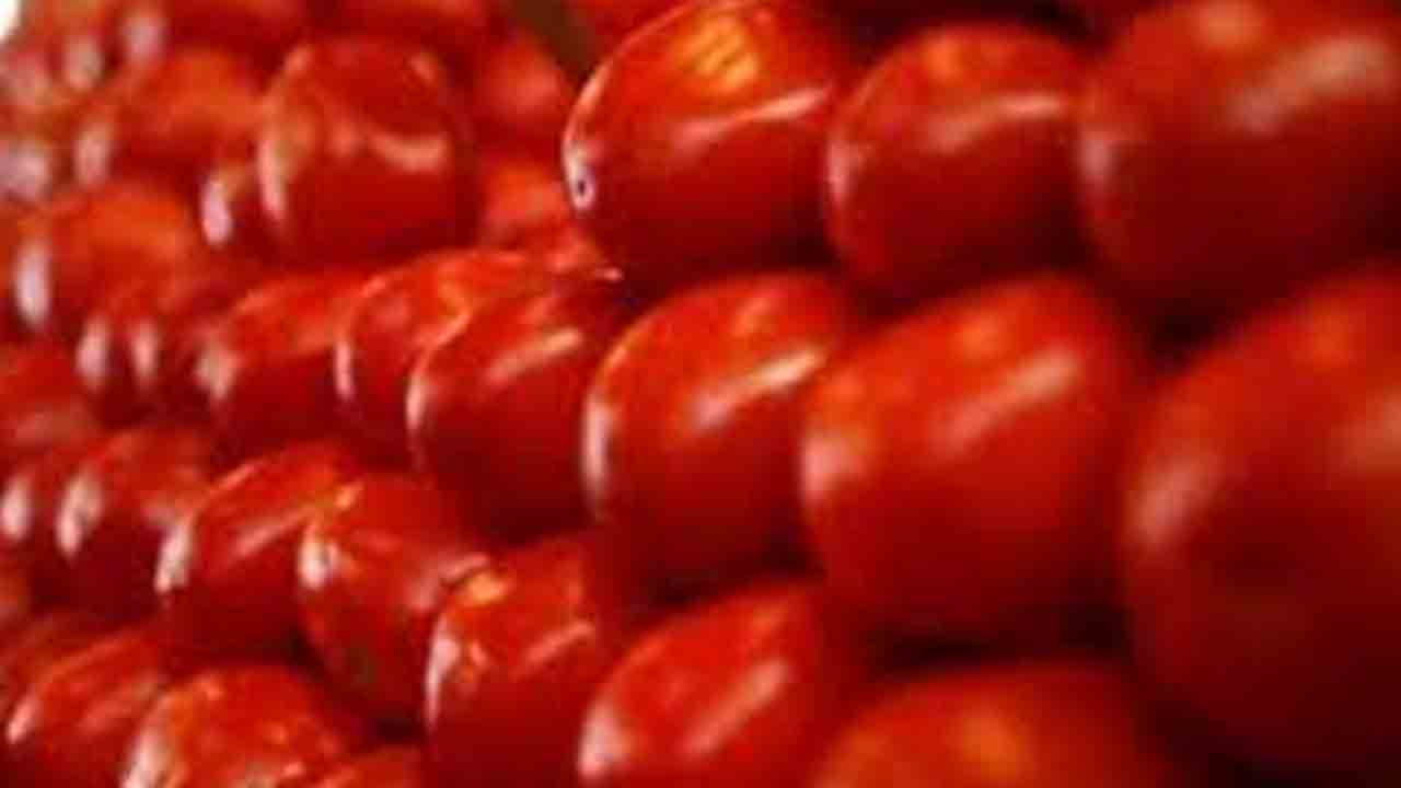 Tomato | రాత్రికి రాత్రే టమాటాల చోరీ