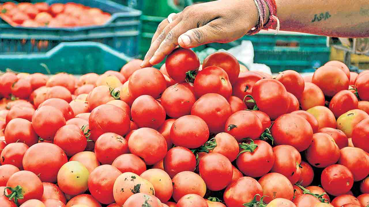 Tomato Price | రూ.250కు చేరిన టమాట ధర.. కర్ణాటకలో సీసీ కెమెరా నిఘాలో అమ్మకాలు