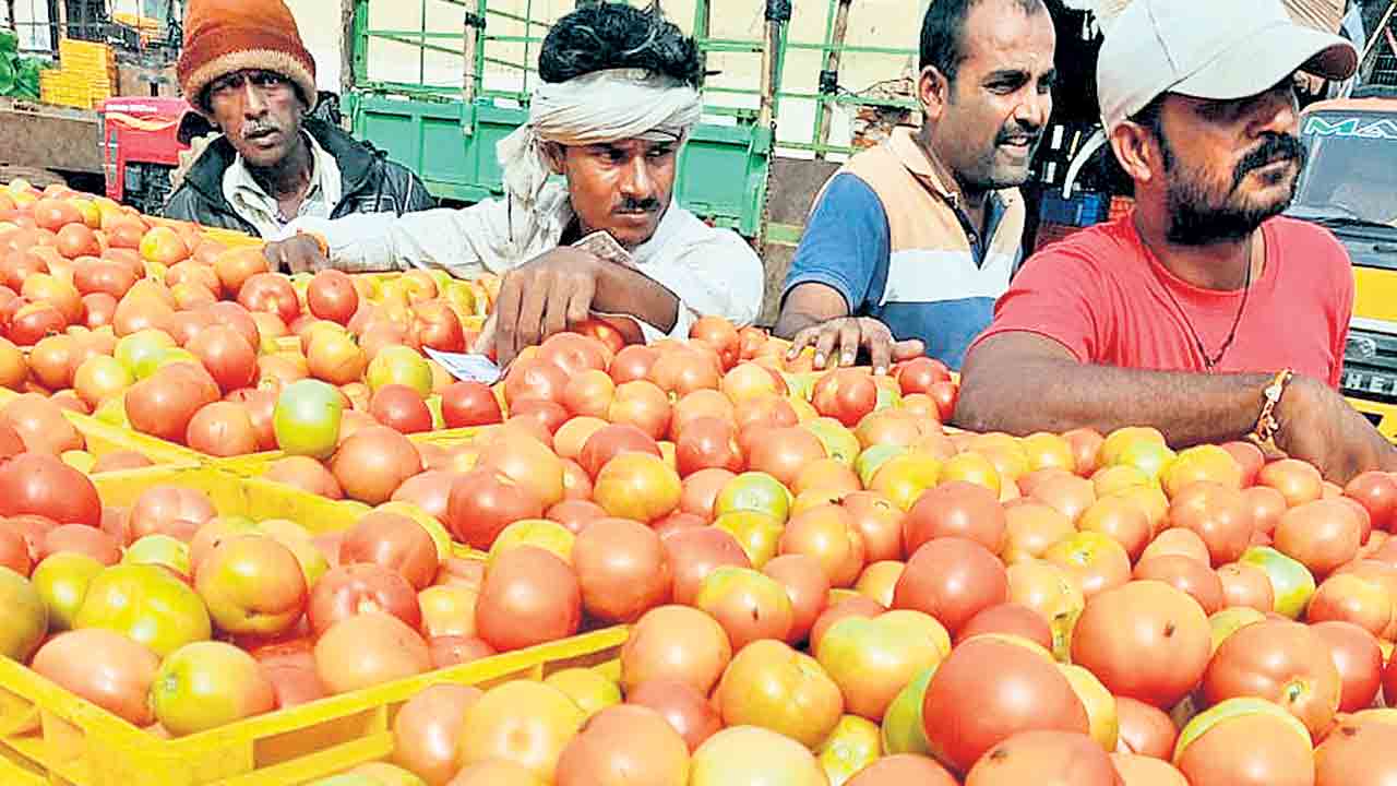 Tomato | అందనంత దూరంలో ‘అందరి పండు’.. ధరలు ఆకాశాన్నంటడంతో టమాట ప్రియులు బిక్కమొహం