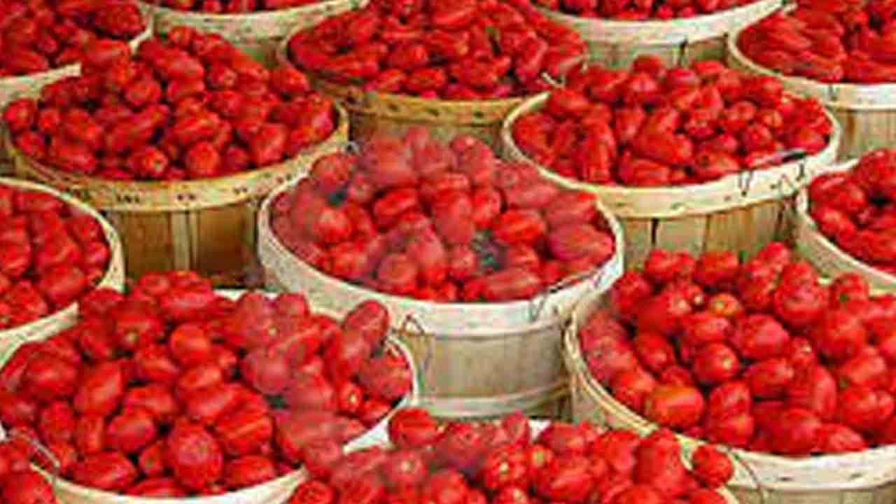 టమాట.. కోటీశ్వరుడ్ని చేసింది