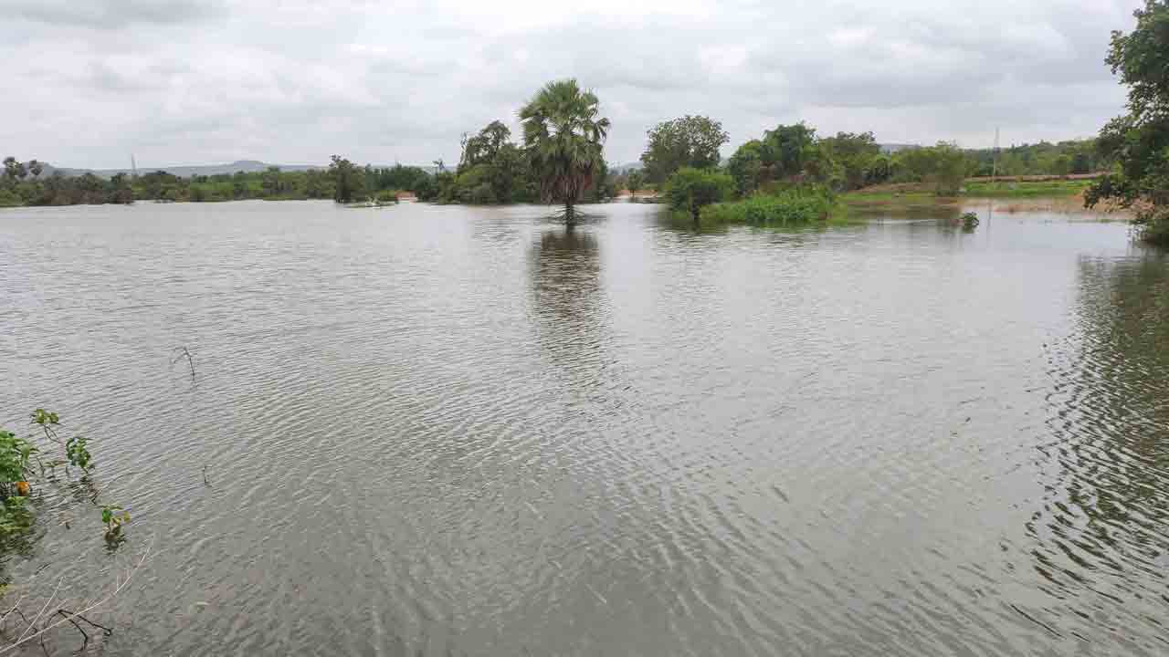 చెరువులు నిండుగ.. రైతన్న పండుగ