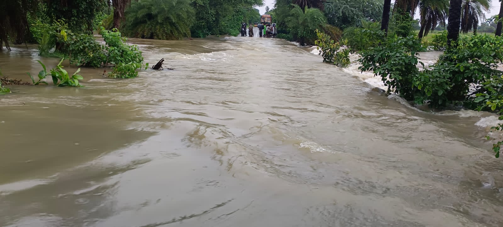 వరంగల్‌ జిల్లాలో