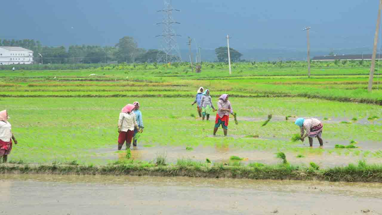 ల‌క్ష‌ణంగా మాఫీ