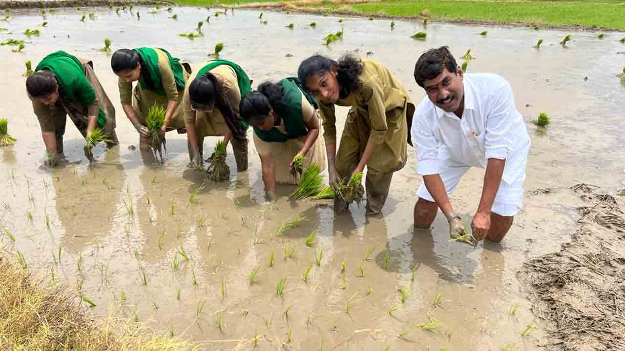 అధ్యయనం.. అవగాహన