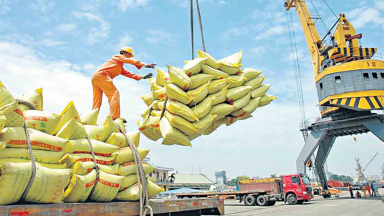 Rice ban impact | కేంద్రం నిర్ణయంతో ఓడ రేవుల్లో పేరుకుపోయిన 2 లక్షల టన్నుల బియ్యం.. ఇప్పుడు వాటి పరిస్థితేంటి?
