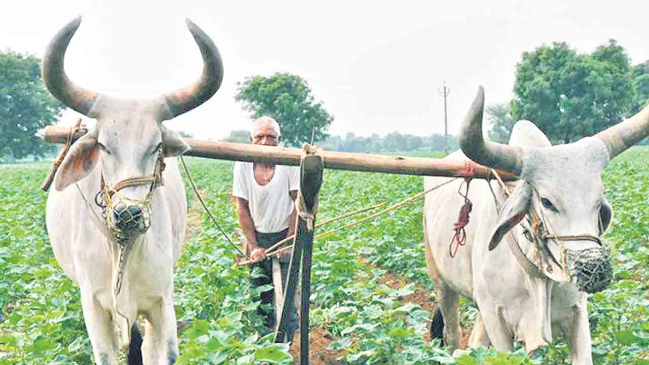 సమగ్రంగా.. సాగు లెక్క..