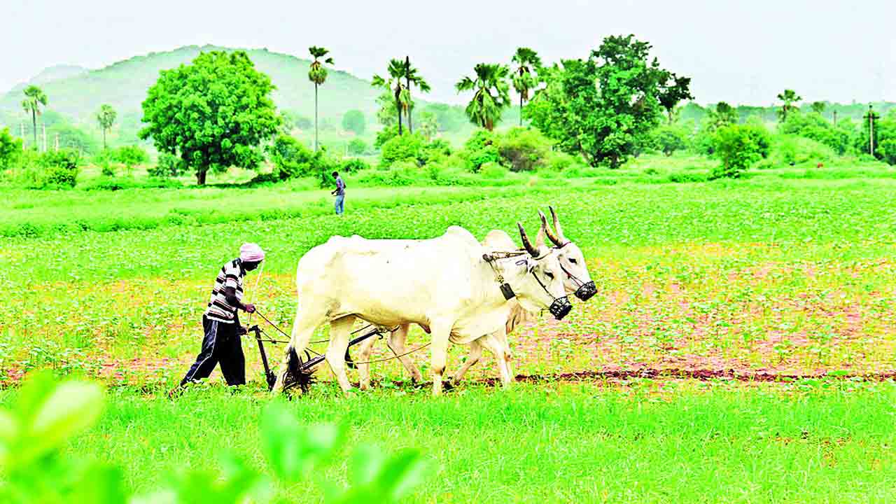 బీమాతో భరోసా