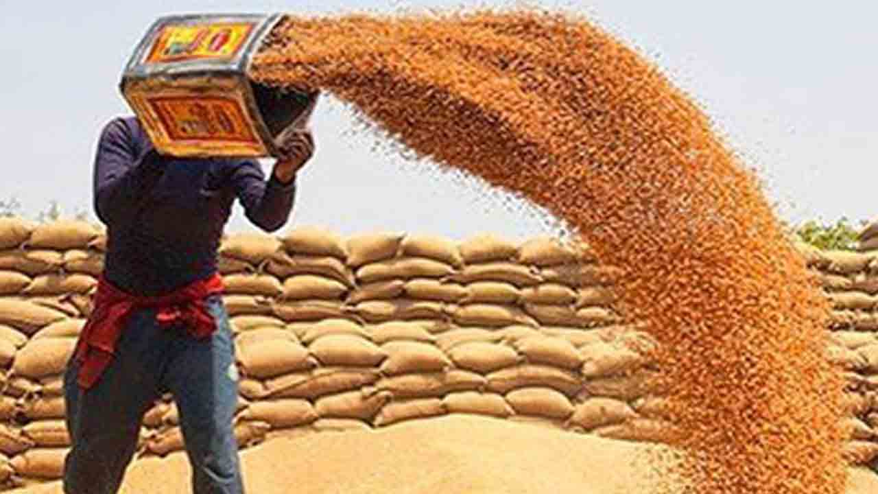 గోధుమల నిల్వలపై ఆంక్షలు