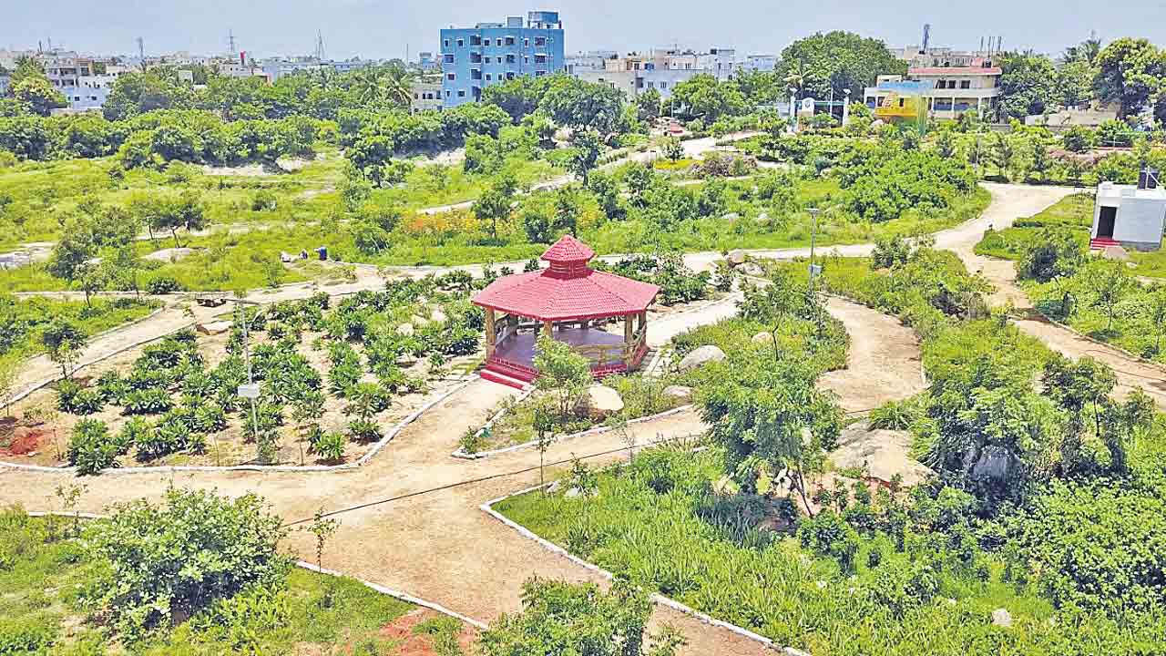 హరితం పురోగతికి ఇంధనం