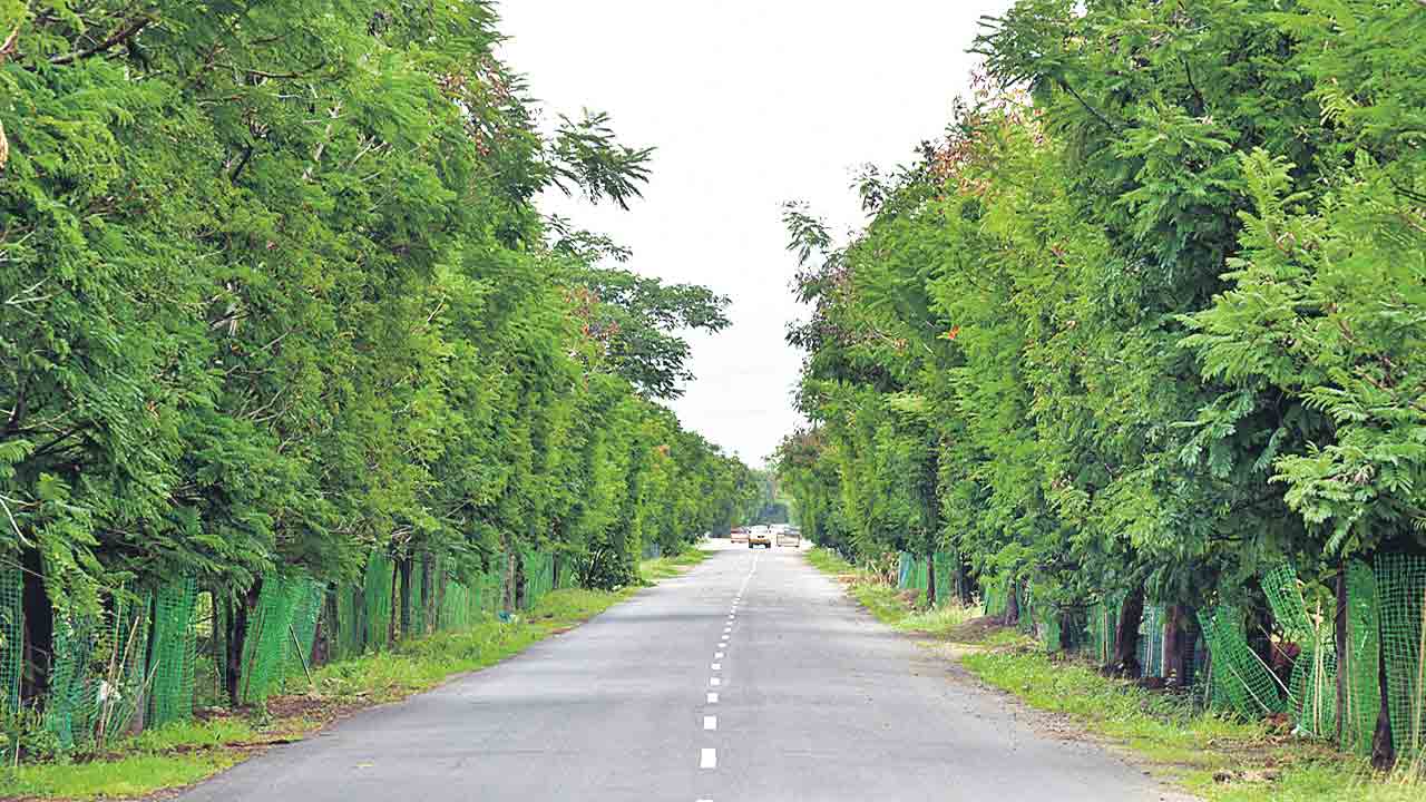 కోటి దాటిన వృక్షార్చన