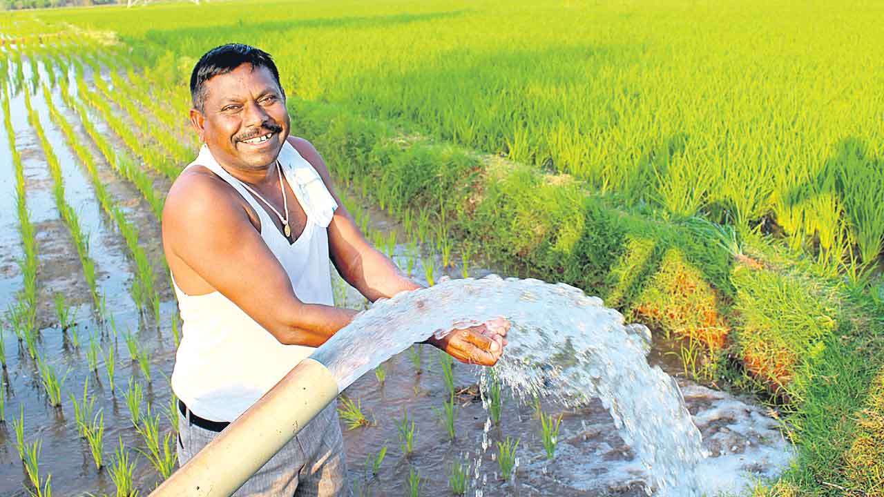 రైతును రాజును చేసేందుకు!