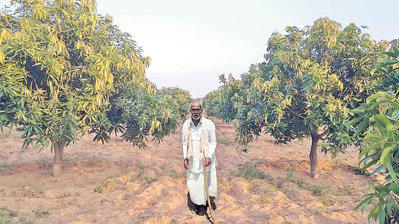 అప్పా.. అప్పు మాఫయిందే!