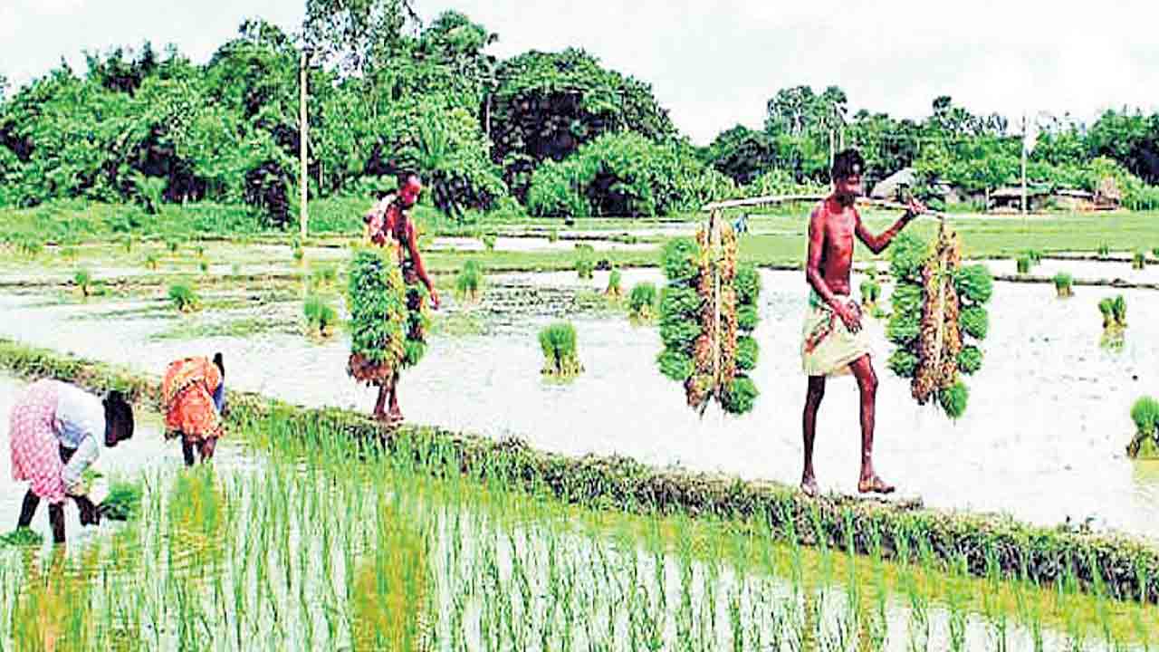 సంక్షేమంతో తగ్గిన పేదరికం