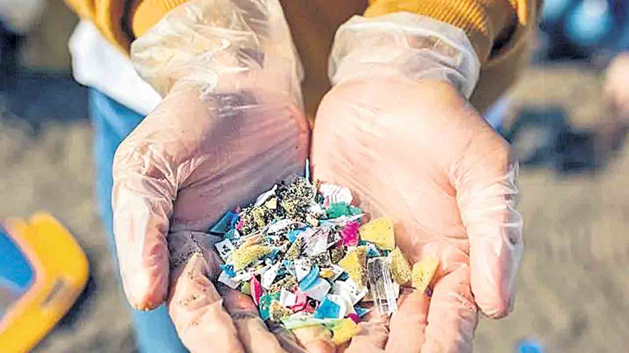 హృదయంలో ప్లాస్టిక్‌ మొలిచే!