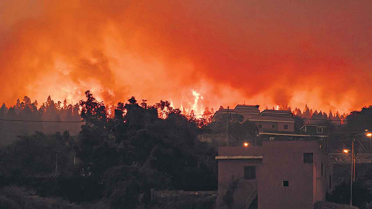 హడలెత్తిస్తున్న కార్చిచ్చులు