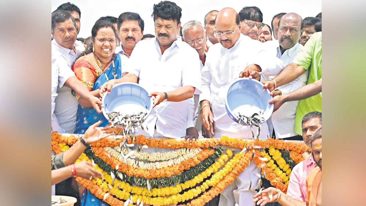 ఫిష్‌ హబ్‌గా పట్నం