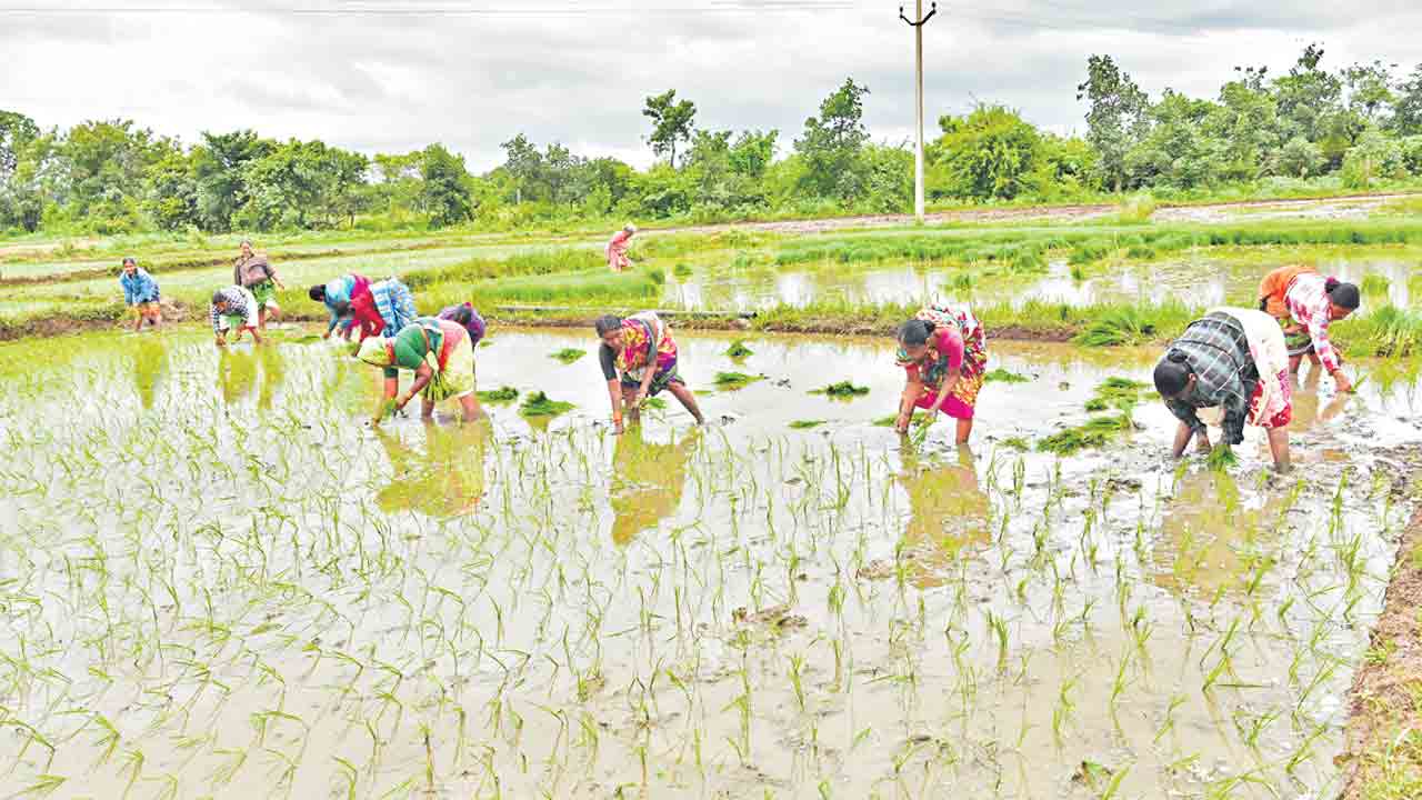 సాగు భళా…