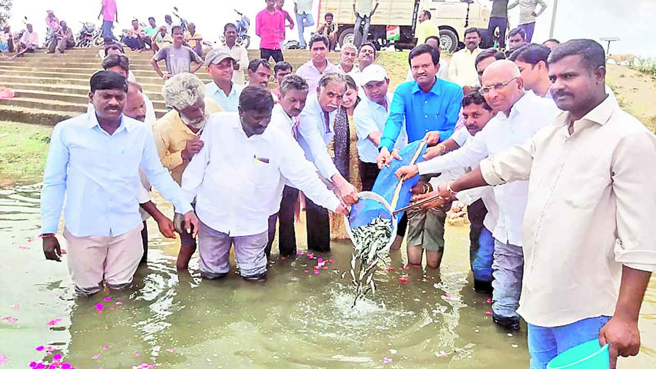 వరంగల్‌ జిల్లాకు 1.94కోట్ల చేప పిల్లలు