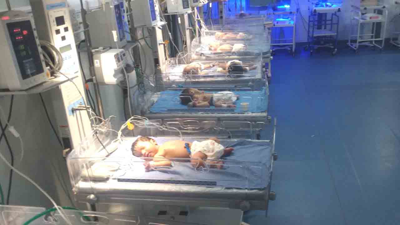 మోడల్‌.. మాడ్యులర్‌