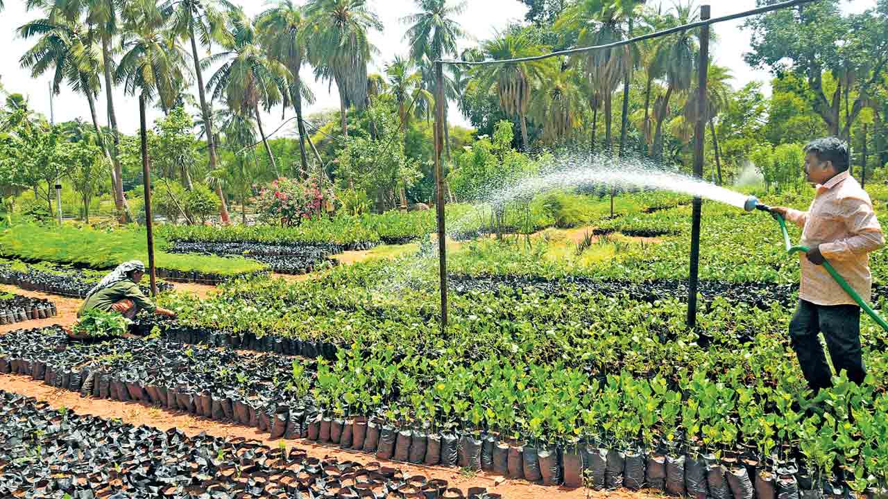 కోటి వృక్షార్చన నాటిన మొక్కలు 18 లక్షలు