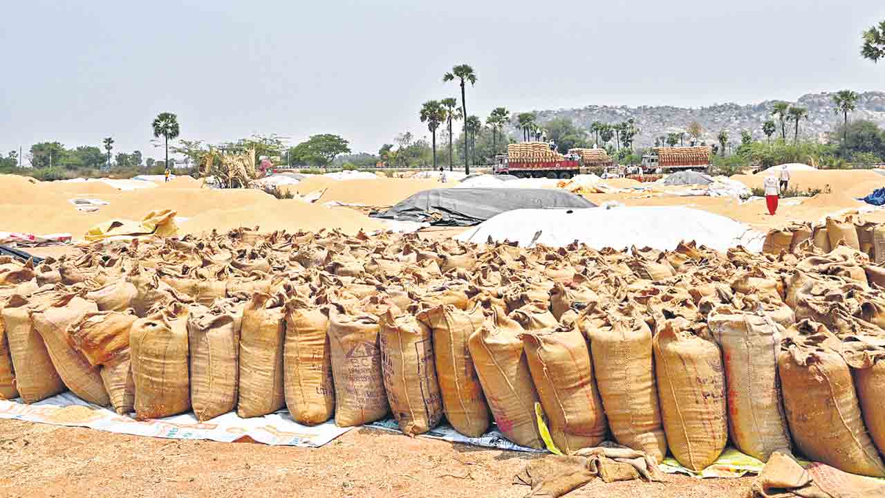 Telangana |  రాష్ట్ర వ్యవసాయ రంగంలో సువర్ణాధ్యాయం.. తొమ్మిదేండ్లలో 3 రెట్లకుపైగా పెరిగిన ధాన్యం ఉత్పత్తి